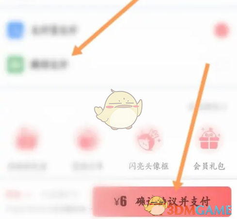 支付页面截图