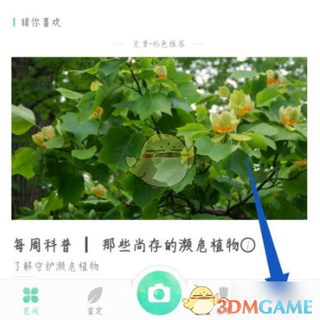 形色APP我页面