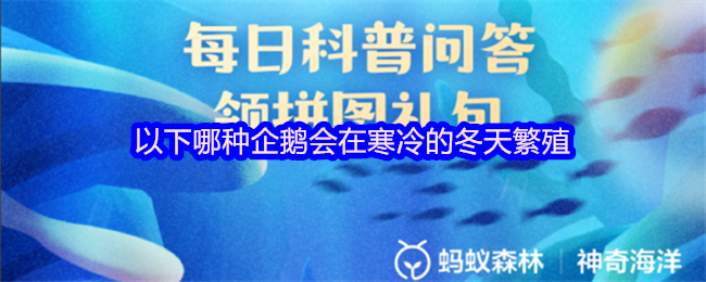 《支付宝》寒冬中哪种企鹅选择繁殖？