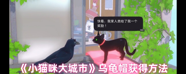 《小猫咪大城市》乌龟帽获取指南