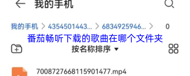 《番茄畅听》番茄畅听下载的音乐文件存储位置揭秘