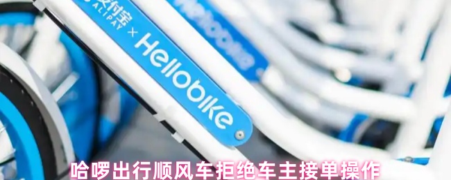 《哈啰出行》哈啰出行顺风车车主无法接单的操作指南