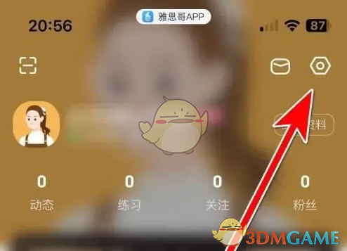 设置选项