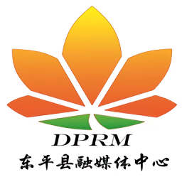 东平手机台最新