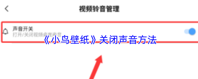 《小鸟壁纸》静音设置指南