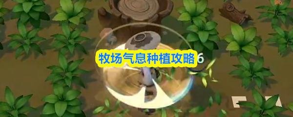 《牧场气息》田园风光下的种植秘籍