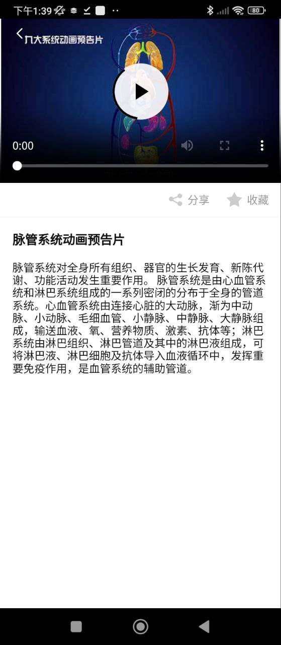 医维度解剖