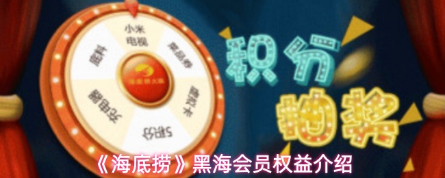 《海底捞》黑海会员特权全面解析