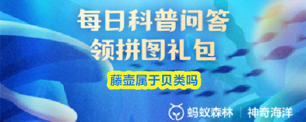 《支付宝》藤壶是否归类为贝类？